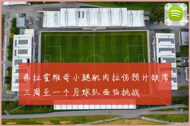 弗拉霍维奇小腿肌肉拉伤预计缺席三周至一个月球队面临挑战