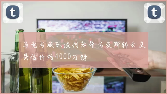 马竞与狼队谈判若昂戈麦斯转会交易估价约4000万镑